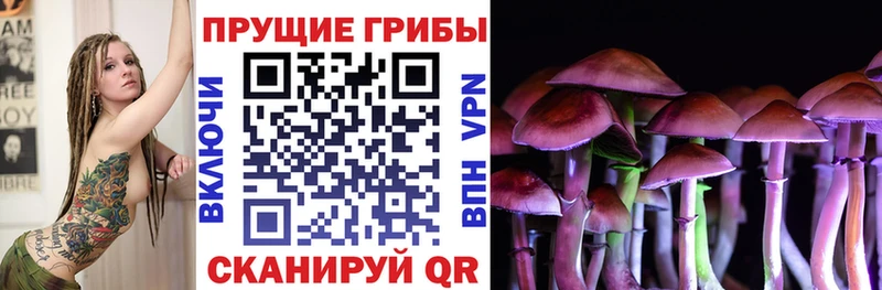 Псилоцибиновые грибы MAGIC MUSHROOMS  Медногорск 